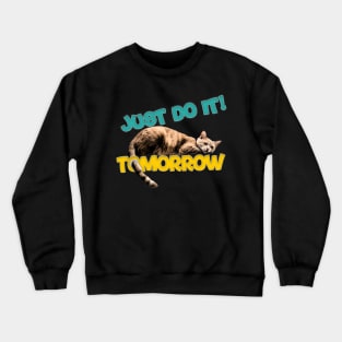 cat meme just do it! tomorrow lazy cat Crewneck Sweatshirt